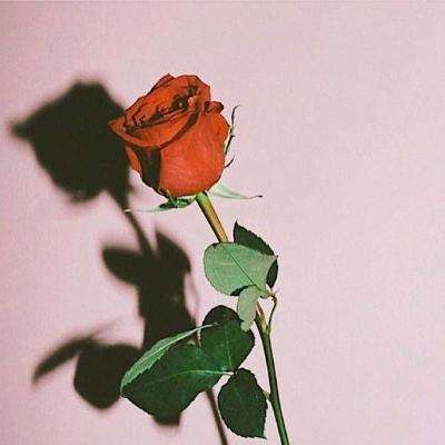 巢湖房产网截图